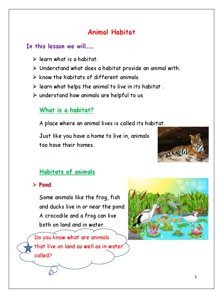 Animal Habitats Exploring Where Different Animals Live and What They