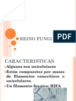 Reino Fungi PDF