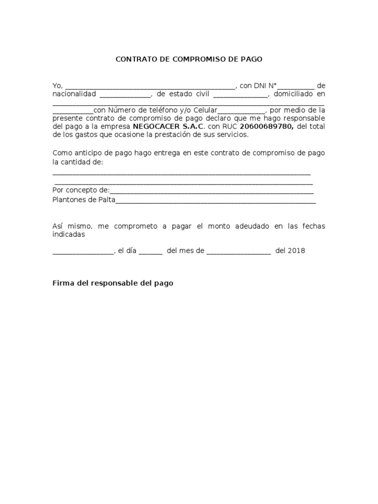 Carta Compromiso de Pago PDF