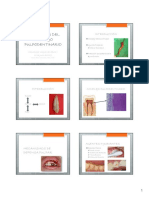 Prot PD 2019 PDF