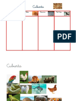 tableros clasificacion zoologia Cubierta