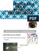 Antibiograma Streptococos Completo