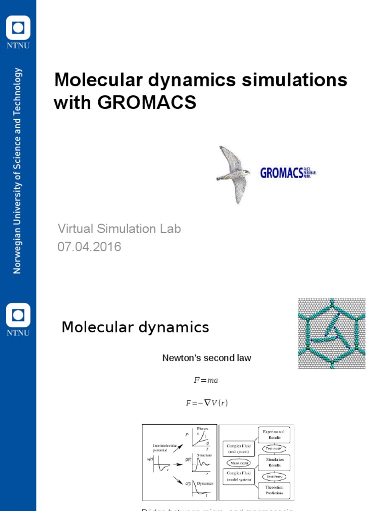 Molecular Dynamics Simulations With GROMACS Virtual Simulation Lab 07.