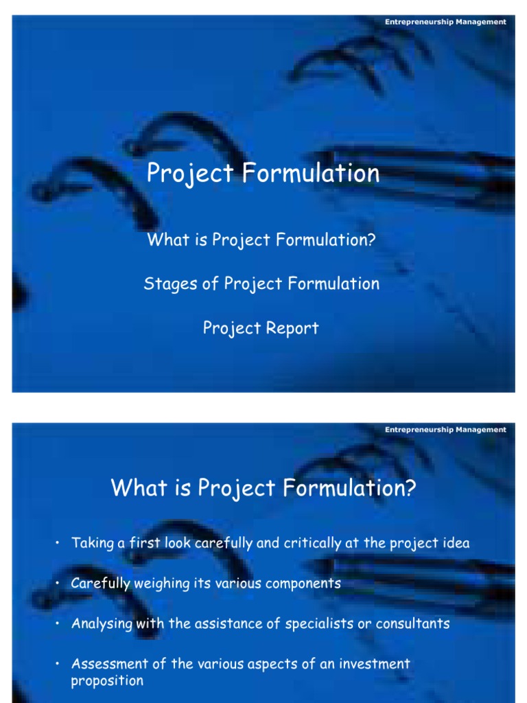 Project Formulation | PDF