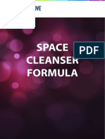 Space Cleanser PDF