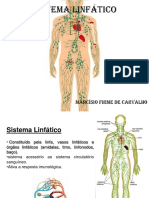 - SISTEMA LINFÁTICO(Rogério Natal).pdf