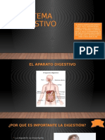 Exposicion Sistema Digestivo