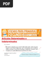 Artículos Determinantes e Indeterminantes para Segundo Grado de Primaria