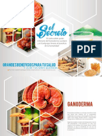 Portafolio GD