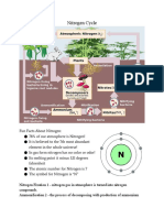 Nitrogen Cycle Handout 1