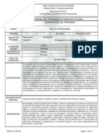 Programade Formación Salud Ocupacional PDF