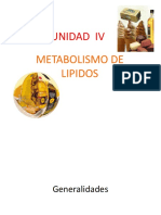 METABOLISMO DE LIPIDOS Al 20-1.pdf