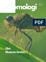 0000 Gambar Entomologi - Macam-Macam Contoh Spesies Serangga