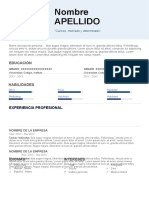 58-curriculum-vitae-hecho-97-2003.doc