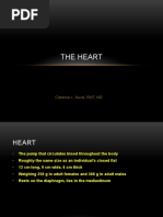 Heart Anatomy Overview | PDF | Heart Valve | Heart