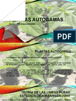 Plantas Autogamas