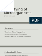 Classifying of Microorganisms