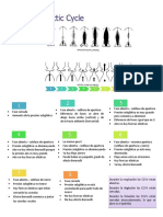 Ciclo Fonatorio