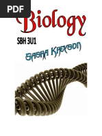 Download Grade 11 Biology - SBH 3U1 by Sasha Kheyson SN46117788 doc pdf