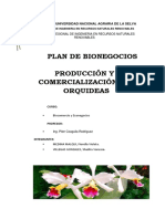 Plan Orquideas Cataleya