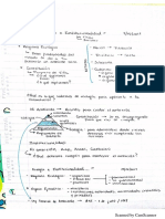 Ecología PDF