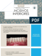 Incisivos Ineriores Anatomia PDF