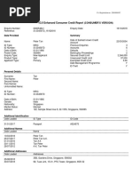 Enhanced Consumer Credit Report 2019