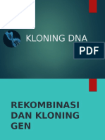Kloning DNA