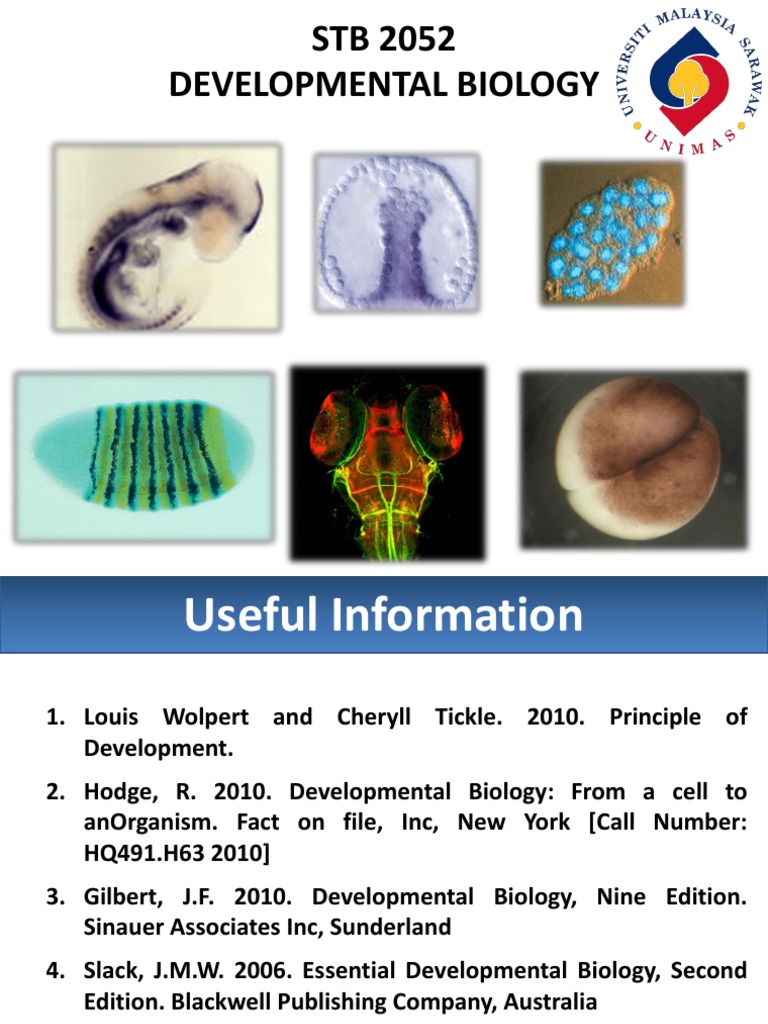 Lect1 Introduction To Developmental Biology PDF | PDF | Heredity ...