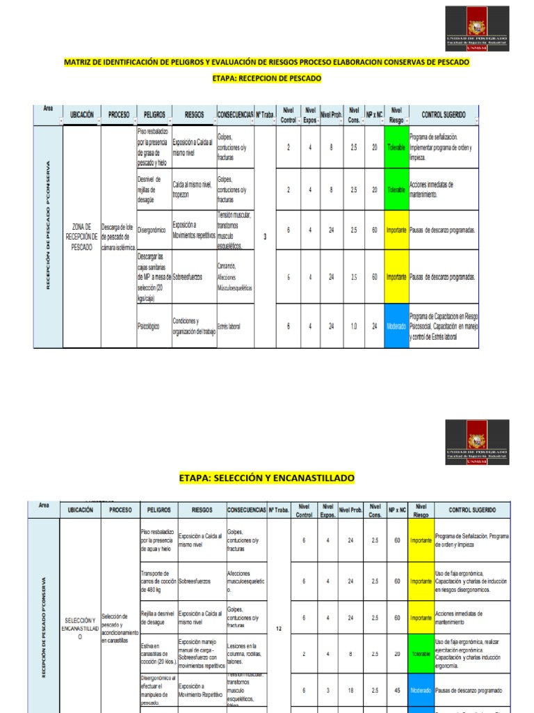Matriz De Identificacin De Peligros Y Evaluacin De Riesgos Apuntes