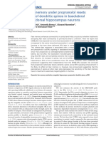 Vetere Et Al. - 2013 - Reactivating Fear Memory Under Propranolol Resets Pre-Trauma Levels of Dendritic Spines in Basolateral Amygdala But N PDF