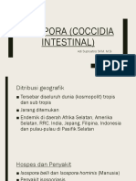 Isospora (Coccidia Intestinal) PDF