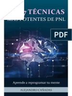 Las 7 Técnicas Más Potentes de PNL PDF