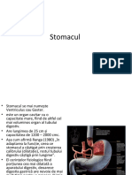 Stomacul 2