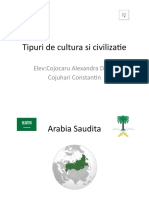 Tipuri de Cultura Si Civilizatie