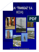 248824543-Diagnoza-Conductelor-de-Transport-Gaze-Naturale.pdf
