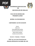 Garbanzo - Equipo - Caña