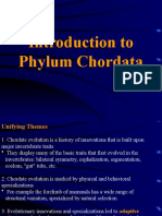 Introduction To Phylum Chordata