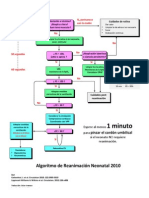 Algoritmo RCP Neonatal 2010