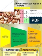 Estructura y Composición de Los Aceites y Grasas PDF