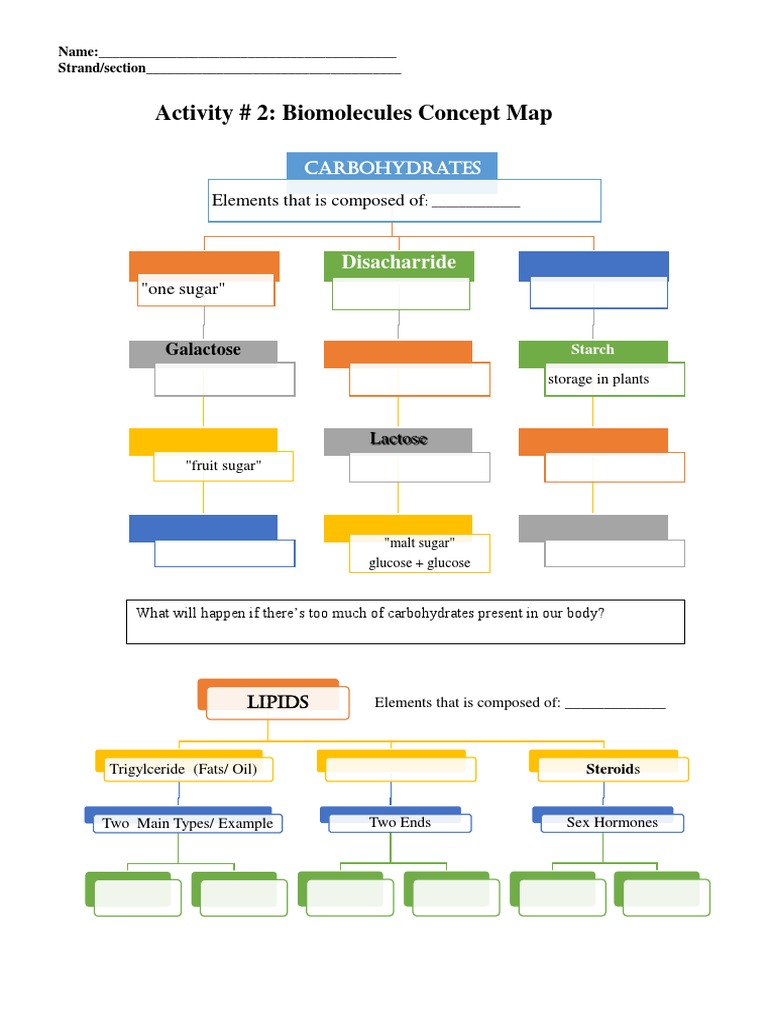 Activity 2 Biomolecules Concept Map Elements That Is Composed of PDF
