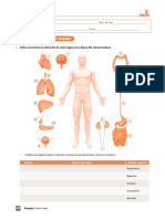 S1B-B1-SD1L2RD8.pdf