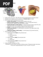 The Radiology Assistant - Mediastinal Lymph Node Map | PDF | Aorta | Lung
