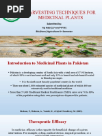 Harvesting Techniques of Medicinal Plants