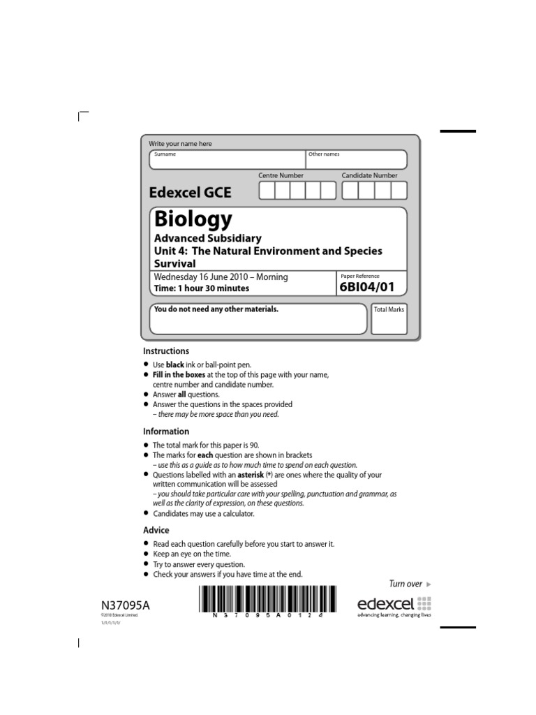 Primary producers essay 07 picture