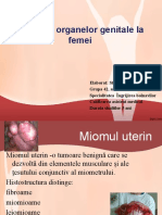 Tumorile Organilor Genitale