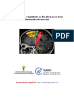 Glioma Insular 1 PDF