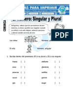 Ficha de Singular y Plural para Primero de Primaria PDF