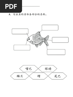 动物的身体部位 Pdf