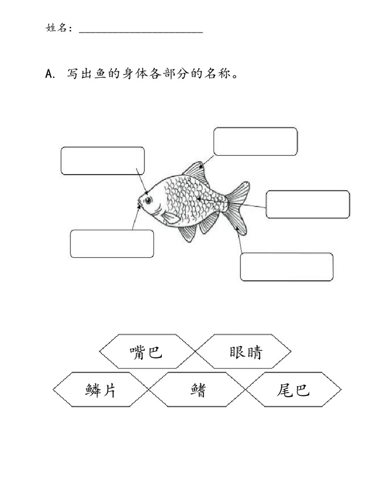 动物的身体部位 Pdf